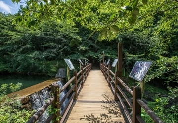 민주지산자연휴양림